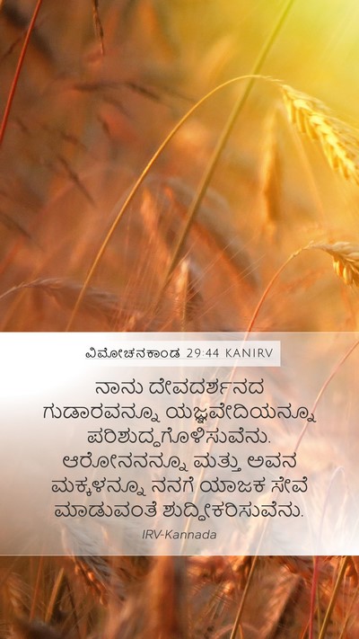 ವಿಮೋಚನಕಾಂಡ 29:44 KANIRV Bible Verse Image