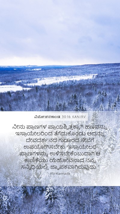 ವಿಮೋಚನಕಾಂಡ 30:16 KANIRV Bible Verse Image