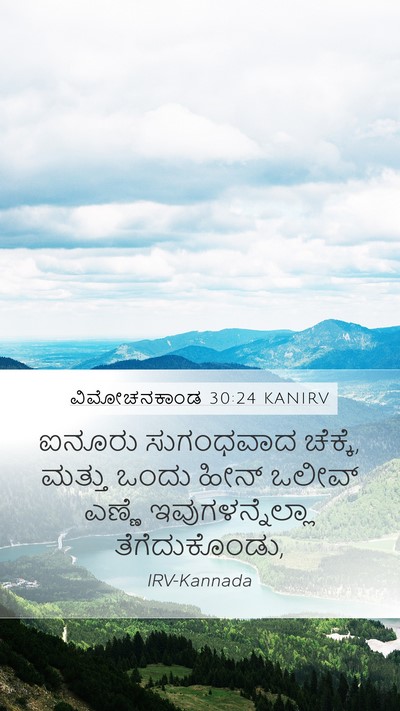 ವಿಮೋಚನಕಾಂಡ 30:24 KANIRV Bible Verse Image