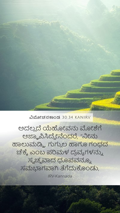 ವಿಮೋಚನಕಾಂಡ 30:34 KANIRV Bible Verse Image