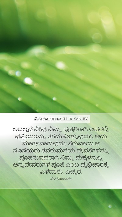 ವಿಮೋಚನಕಾಂಡ 34:16 KANIRV Bible Verse Image