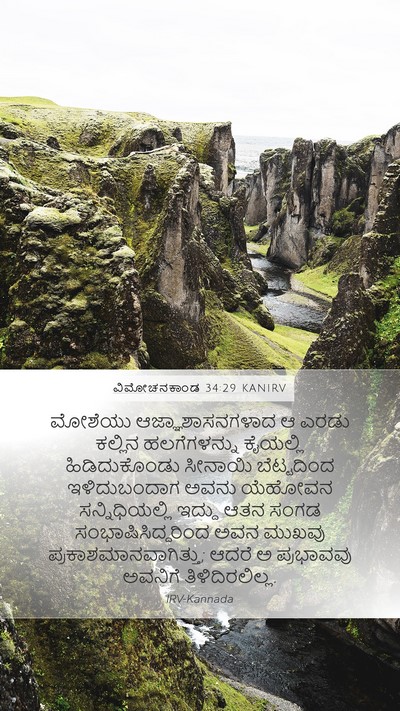 ವಿಮೋಚನಕಾಂಡ 34:29 KANIRV Bible Verse Image