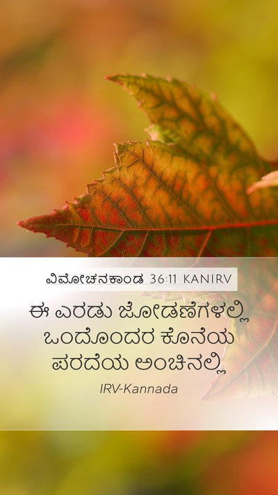 ವಿಮೋಚನಕಾಂಡ 36:11 KANIRV Bible Verse Image