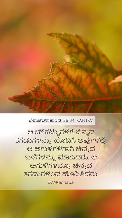 ವಿಮೋಚನಕಾಂಡ 36:34 KANIRV Bible Verse Image