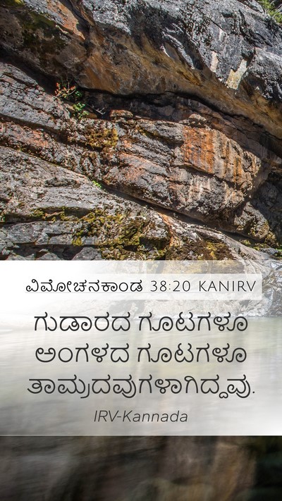 ವಿಮೋಚನಕಾಂಡ 38:20 KANIRV Bible Verse Image
