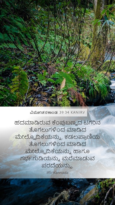 ವಿಮೋಚನಕಾಂಡ 39:34 KANIRV Bible Verse Image