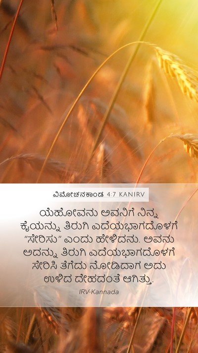ವಿಮೋಚನಕಾಂಡ 4:7 KANIRV Bible Verse Image