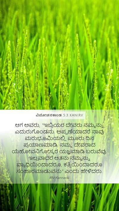 ವಿಮೋಚನಕಾಂಡ 5:3 KANIRV Bible Verse Image