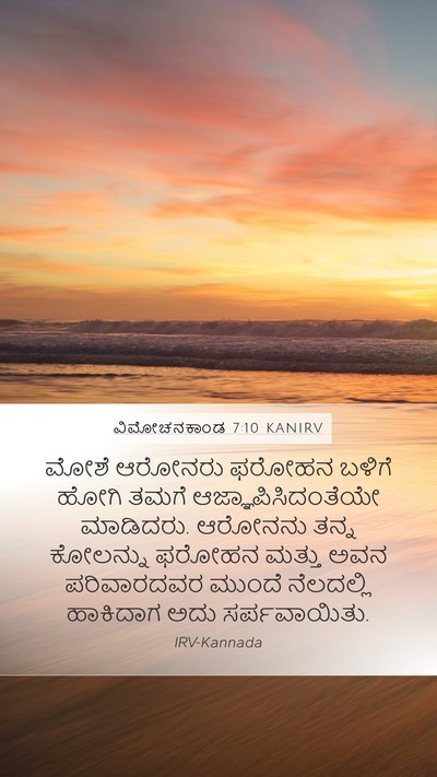 ವಿಮೋಚನಕಾಂಡ 7:10 KANIRV Bible Verse Image