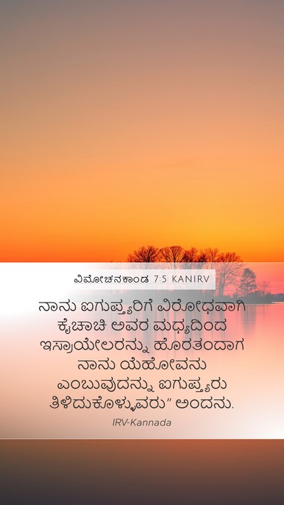 ವಿಮೋಚನಕಾಂಡ 7:5 KANIRV Bible Verse Image