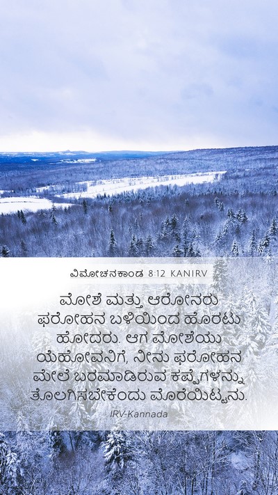 ವಿಮೋಚನಕಾಂಡ 8:12 KANIRV Mobile Phone Wallpaper - ಮೋಶೆ ಮತ್ತು ಆರೋನರು - Mobile Bible Verse Wallpaper