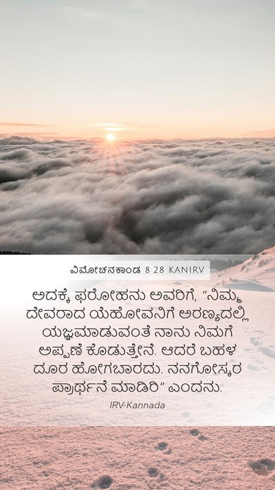 ವಿಮೋಚನಕಾಂಡ 8:28 KANIRV Bible Verse Image