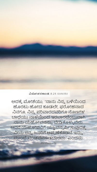 ವಿಮೋಚನಕಾಂಡ 8:29 KANIRV Bible Verse Image