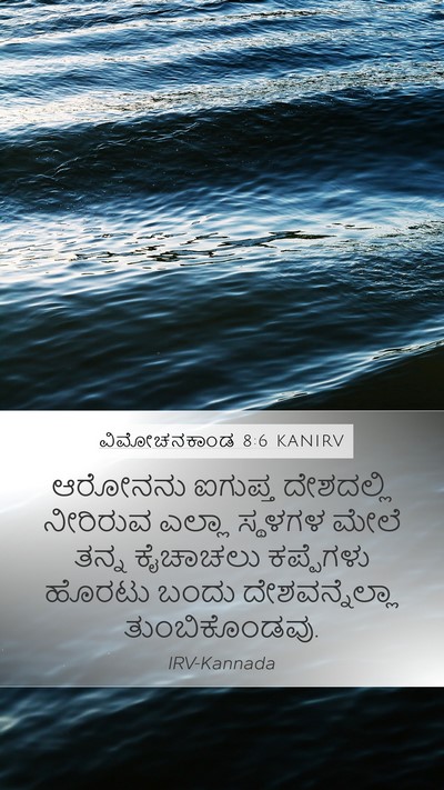 ವಿಮೋಚನಕಾಂಡ 8:6 KANIRV Mobile Phone Wallpaper - ಆರೋನನು ಐಗುಪ್ತ - Mobile Bible Verse Wallpaper