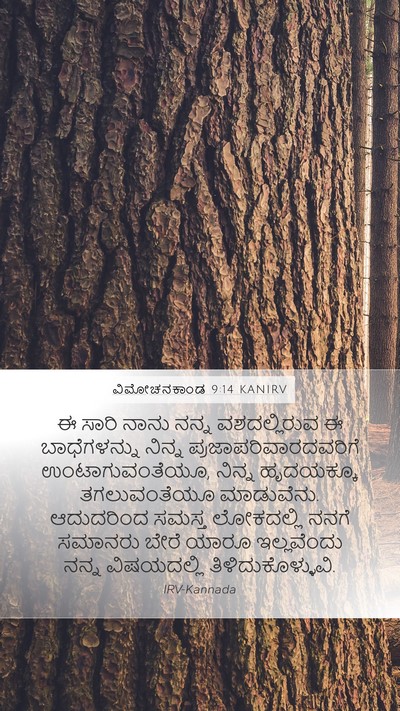 ವಿಮೋಚನಕಾಂಡ 9:14 KANIRV Bible Verse Image