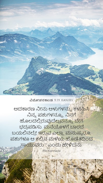 ವಿಮೋಚನಕಾಂಡ 9:19 KANIRV Bible Verse Image