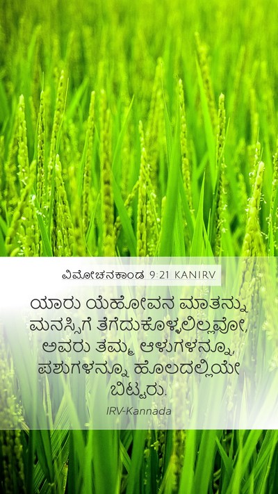 ವಿಮೋಚನಕಾಂಡ 9:21 KANIRV Bible Verse Image