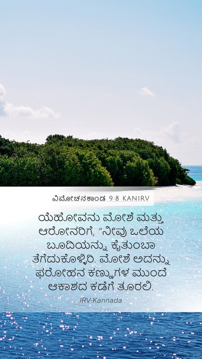 ವಿಮೋಚನಕಾಂಡ 9:8 KANIRV Bible Verse Image