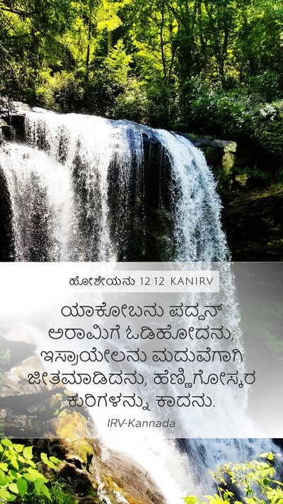 ಹೋಶೇಯನು 12:12 KANIRV Bible Verse Image
