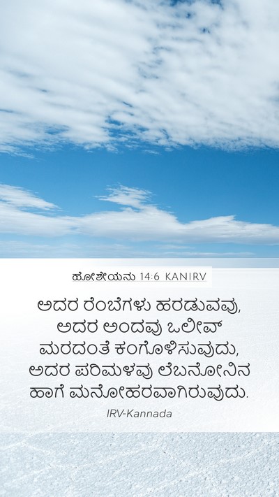 ಹೋಶೇಯನು 14:6 KANIRV Mobile Phone Wallpaper - ಅದರ ರೆಂಬೆಗಳು - Mobile Bible Verse Wallpaper