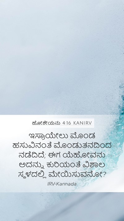 ಹೋಶೇಯನು 4:16 KANIRV Bible Verse Image